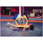 Akrylátová medaile Řecko-římský zápas Zlatá – Zboží Mobilmania