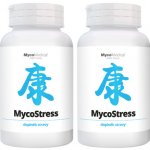 MycoMedica MycoStress 2 x 180 tablet – Hledejceny.cz
