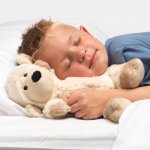 Albi Plyšová hračka Hřejivá ovečka + možnost akční slevy 1Kč – Hledejceny.cz