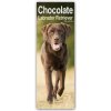 Kalendář Chocolate Labrador Retriever Schokoladenfarbene Labrador Retriever 2024