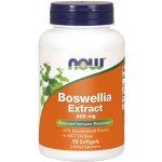 Now Foods Boswellia Extrakt 500 mg 90 softgelových kapslí – Hledejceny.cz