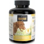 Belcando Vital 120 tbl – Hledejceny.cz