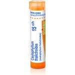 CAULOPHYLLUM THALICTROIDES POR 15CH GRA 1X4G – Hledejceny.cz