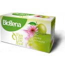 Biogena Fantastic Jablko Echinacea 20 x 2,5 g