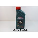 Castrol Magnatec Diesel DPF 5W-40 1 l – Hledejceny.cz