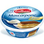 Galbani Mascarpone Santa Lucia čerstvý smetanový sýr 250g – Zboží Dáma
