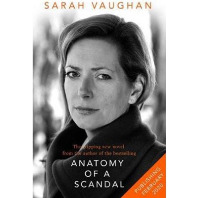 Little Disasters : from the bestselling author of Anatomy of a Scandal - Vaughanová Sarah, Brožovaná
