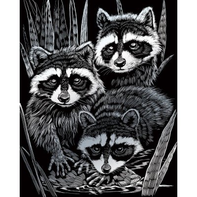 Royal & Langnickel Stříbrný škrabací obrázek Mývalové – Zboží Mobilmania