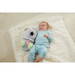 Fisher-Price uklidňující koala s melodiemi GRT59 – Sleviste.cz