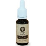 Energie rostlin Bachovy esence 7 Chestnut Bud Esence vhledu 20 ml – Hledejceny.cz