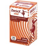 ZenixX Vital 30 kapslí – Hledejceny.cz