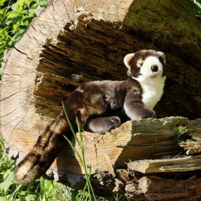 Eco-Friendly Rappa kuna 25 cm – Hledejceny.cz