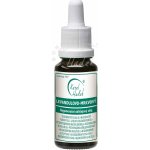 Karel Hadek Levandulovo Mrkvový pleťový olej 30 ml – Zboží Dáma