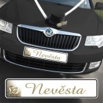Svatební SPZ s textem - Zlaté prsteny - nevěsta (1 ks) – Zboží Dáma