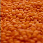 Čočka červená 5 kg – Zboží Dáma