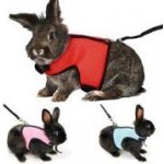 Trixie Postroj VESTA s vodítkem pro velkého králíka 25-40 cm – Zboží Dáma