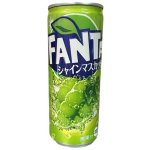 Fanta Shine Muscat Japan 250 ml – Zboží Dáma