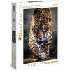 Puzzle Clementoni Chůze jaguára 1000 dílků