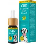Zelená země CBD kapky pro psy 10% slaninové 10 ml – Sleviste.cz