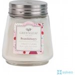 Greenleaf - Cashmere Kiss 3g – Hledejceny.cz