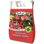 Rašelina Soběslav Zemina pro pokojové rostliny 5 l – Hledejceny.cz