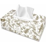 Linteo Vánoční Papírové kapesníky s balzámem 2-vrstvé 200 ks – Zboží Dáma