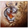 Obraz Obraz Dalmart tigr 80x80cm