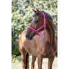 Ohlávky a vodítka pro koně NORTON ohlávka FLUO Růžová