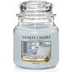 Yankee Candle A Calm & Quiet Place 49 g – Zboží Mobilmania