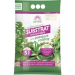 Forestina Profík substrát Minerální pro pokojové rostliny 5 l – Hledejceny.cz