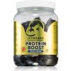 Doplněk stravy na imunitu IvyBears Protein Boost 60 ks