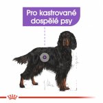 Royal Canin Maxi Sterilised 3 kg – Hledejceny.cz