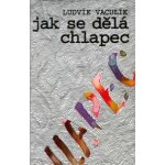 Jak se dělá chlapec – Hledejceny.cz