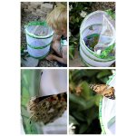 Insect Lore Motýlí zahrádka 3-5 housenek 01010SU – Hledejceny.cz