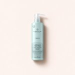 Paul Mitchell Awapuchi Wild Ginger Keratin Intensive Treatment 500 ml – Hledejceny.cz