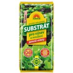 Forestina Substrát HOŠTICKÝ pro výsev a množení 40 l – Zboží Mobilmania