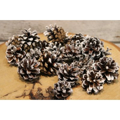 L.M.Dekor Barvené šišky přírodní kouzlo s jemným bílým nádechem – Zboží Dáma