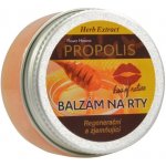 HERB EXTRACT Ochranný balzám na rty - Propolis 25 ml – Hledejceny.cz