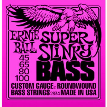 Ernie Ball 2834