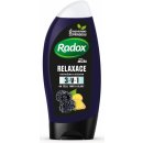 Radox Men Feel Wild Blackberry & Ginger 2v1 sprchový gel 250 ml