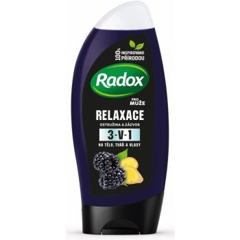 Radox Men Feel Wild Blackberry & Ginger 2v1 sprchový gel 250 ml