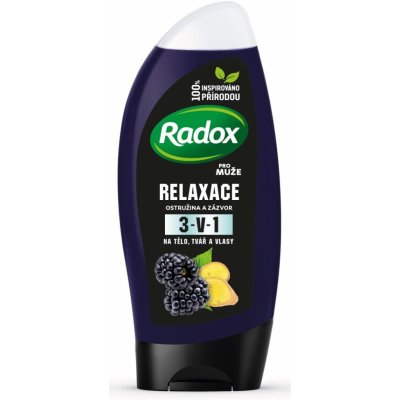 Radox Men Feel Wild Blackberry & Ginger 2v1 sprchový gel 250 ml – Zbozi.Blesk.cz