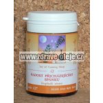 TCM Herbs Radost přicházejícího spánku 100 tablet – Hledejceny.cz