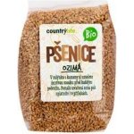Country Life Pšenice ozimá zrno BIO 1 kg – Sleviste.cz