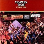 Marvin Gaye - I Want You CD – Hledejceny.cz