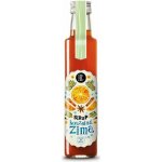 Koldokol Domácí ovocný sirup kouzelná zima 250 ml – Hledejceny.cz