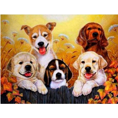 Norimpex Diamantový obrázek Parta psů 30 x 40 cm 1007426 – Hledejceny.cz