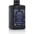 Davines Heart Of Glass Silkening shampoo 250 ml