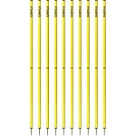 Cawila ACADEMY Slalom poles 10pack Set 1000871812 – Zboží Dáma