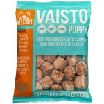Mush Vaisto Puppy ledově modré hovězí a sobí s lososem mražené BARF 800 g – Sleviste.cz